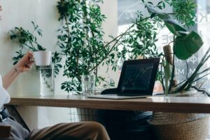 A calm workspace featuring a laptop with graphs, plants, and a coffee cup.